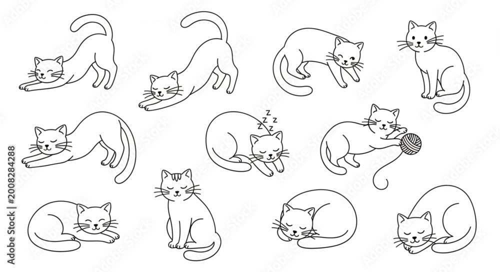 Fototapeta premium Collection of Hand Drawn Cat Illustrations in Various Poses.