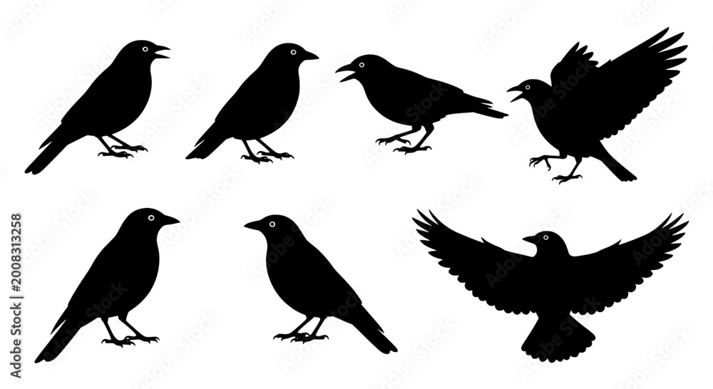 Fototapeta premium Birds silhouette set with various poses and flight positions featuring black, standing, perched with wings and open elements for closed, flying