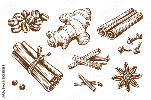 Hand drawn brown spices and herbs collection including ginger cloves cinnamon and star anise