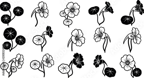 Canvas Print Collection of black and white nasturtium flower and leaf outline