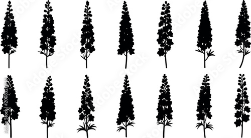Принти на полотні Collection of black silhouette delphinium flowers on white background