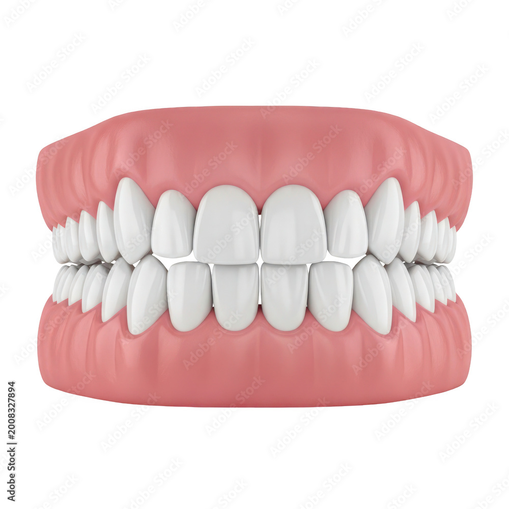 Obraz premium Dental braces on aligned teeth model isolated on a transparent background
