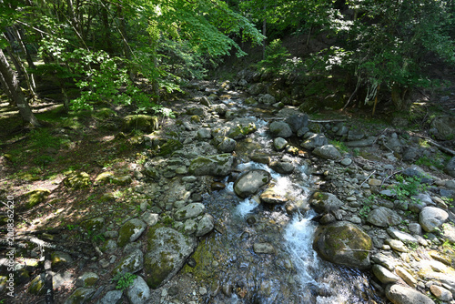 Climbing Mount Kobushigatake, Chichibu, Japan