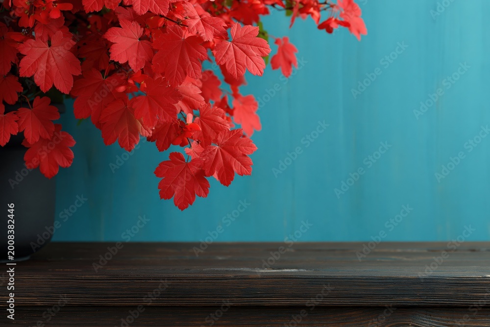 Fototapeta premium Red maple branches cascading over wooden countertop background