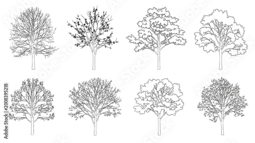 Φωτογραφία Various trees are illustrated in 2D AutoCAD drawings on paper
