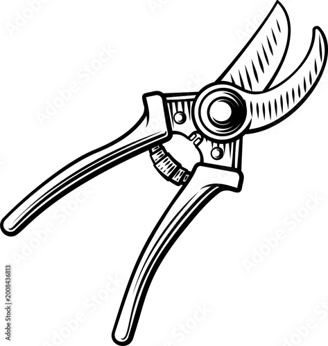 Vintage woodcut style illus...
