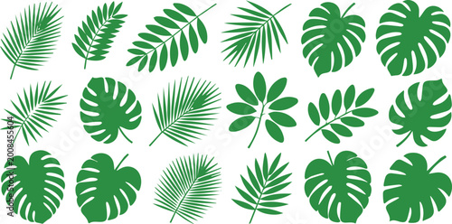 Foto Fern frond silhouette pack