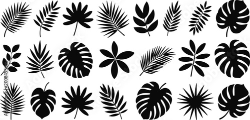 Foto Monstera leaf silhouette collection