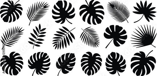 Foto Palm frond silhouette grid set