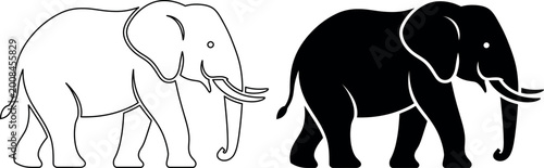 Photography Two elephants walking side by side in simple line art style