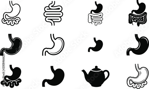 Digestive system icons set with stomach intestines anatomy medical health symbols vector illustration collection