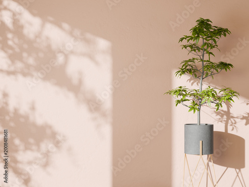 Foto Pale pink wall background with a tall potted plant and soft shadows of leaves