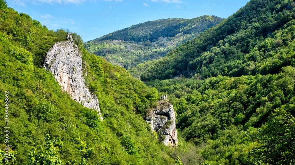 Obraz premium Wild Forest Travel Weekend. Nature Escape Adventure.