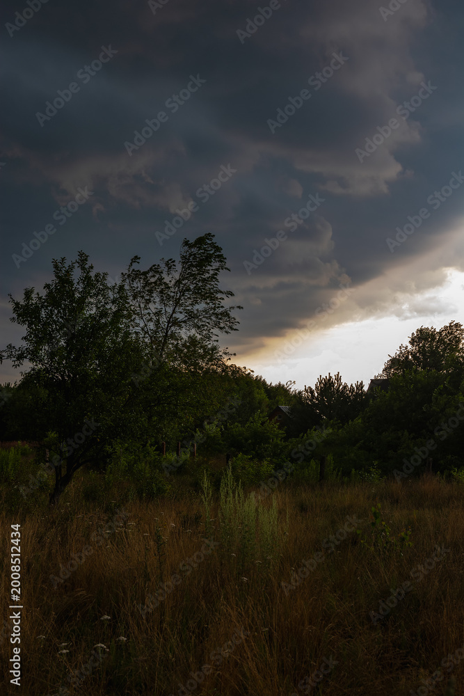 Fototapeta premium Dramatic dark storm clouds over a wild meadow and forest landscape at sunset in Polesie, Poland