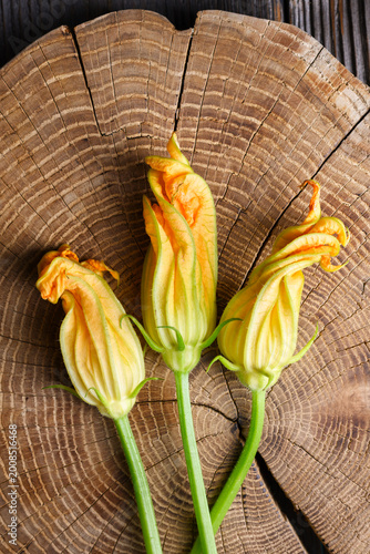 Overhead zucchini blossoms placed on tree trunk wooden surface. Fresh edible flowers with natural rustic texture and organic look