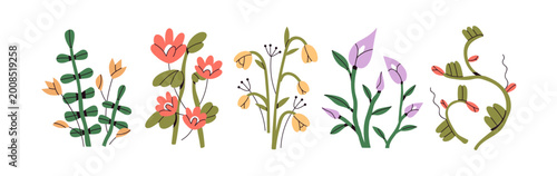 Abstract flower compositions set. Spring and summer nature decorations. Wildf...