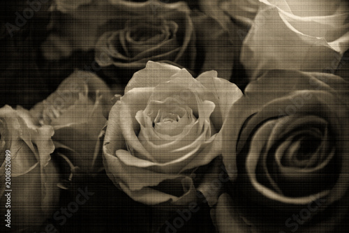 Romantisches Rosen-Bouquet im Vintage-Stil mit Leinwand-Textur und Sepia-Tönung