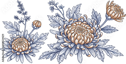 Cuadro en lienzo Vintage Chrysanthemum Flower Set with Hand Drawn Botanical Leaves and Floral Ele