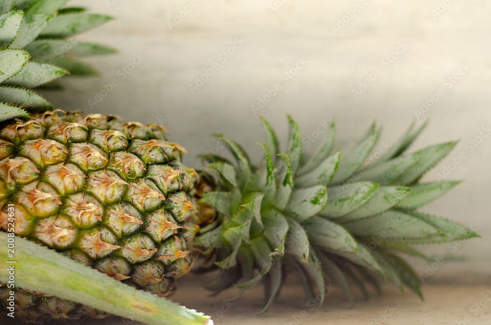 Obraz premium Close up of fresh pineapple showing detailed texture and green leaves. Natural lighting with rustic background for tropical fruit concept.