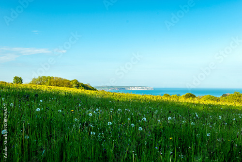 Spring Landscape on the Isle of Wight