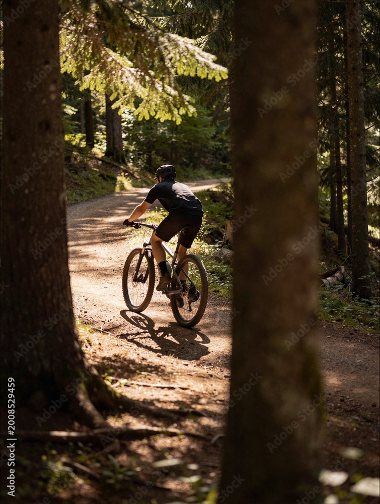 Naklejka premium Cyclist riding mountain bike on dirt path through sunlit pine forest ideal for outdoor adventure and cycling tourism