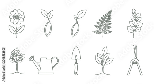 Photos Botanical illustration of plant growth and gardening tools.