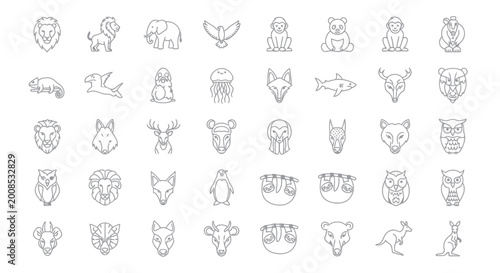 Photography Collection of simple animal icons