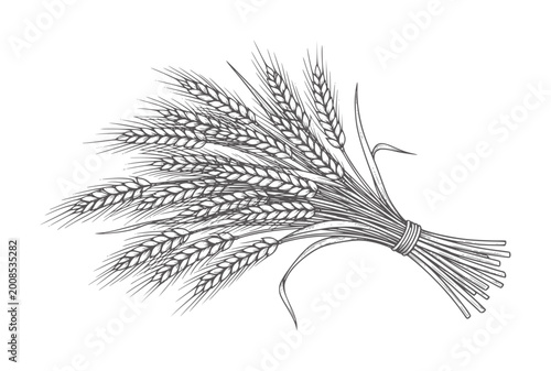 Foto Vintage of a bound bundle of wheat stalks grain harvest agriculture