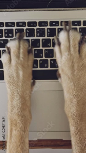 A funny close-up of a dogs paws tapping on a laptop keyboard like a busy worker. The clumsy typing and curious focus create a playful moment, turning everyday tech into a lighthearted scene