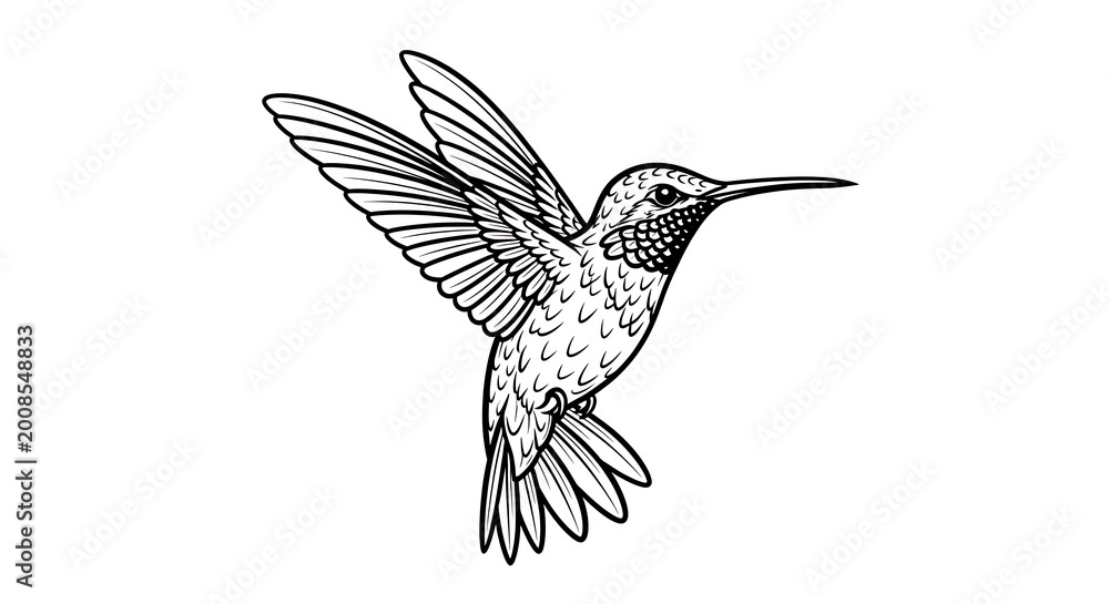 Obraz premium Hummingbird flying in mid-air illustration
