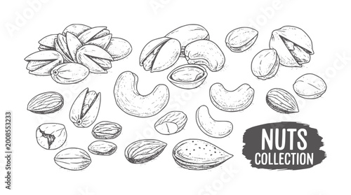 Bilde på lerret Hand drawn of assorted nuts including pistachios cashews and almonds food