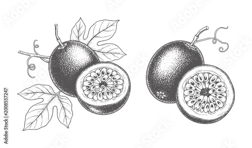Two whole and two halved passion fruits with leaves and vines passionfruit