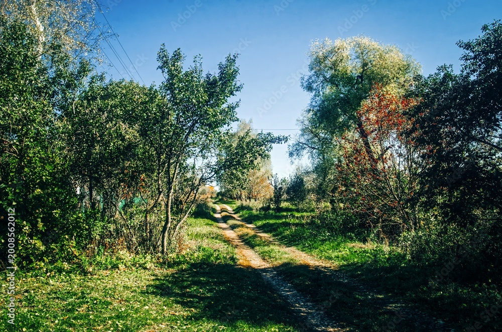 Fototapeta premium Rural dirt road on a clear summer day
