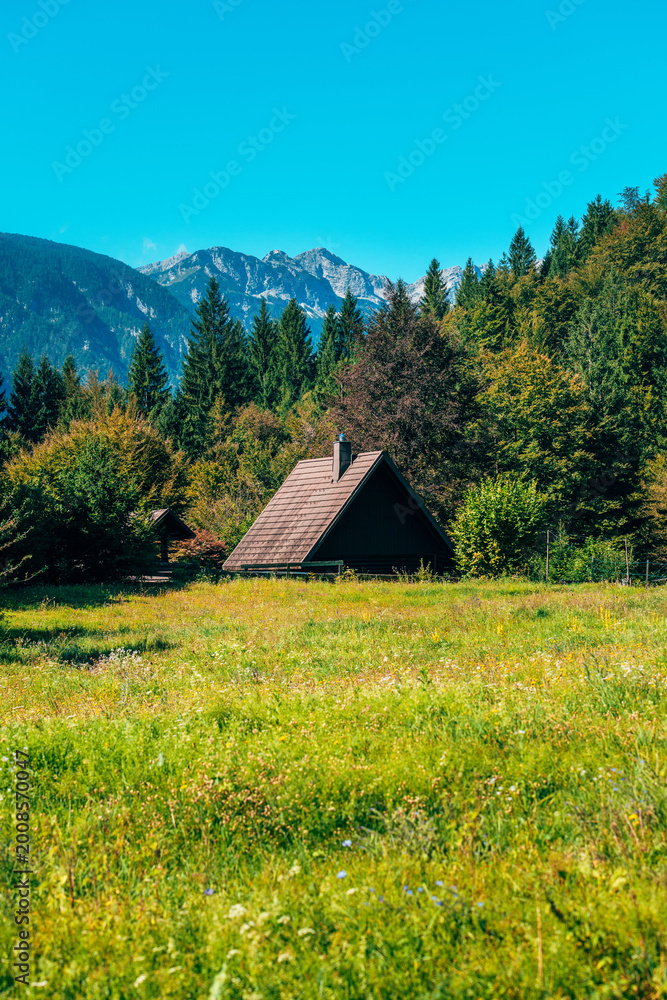Fototapeta premium Traditional countryside cottage surrounded by fields and forest in green Slovenian landscape.