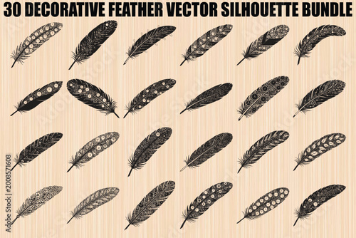 30 decorative feather vector silhouettes, feather bundle, black and white illustrations, ornamental feathers