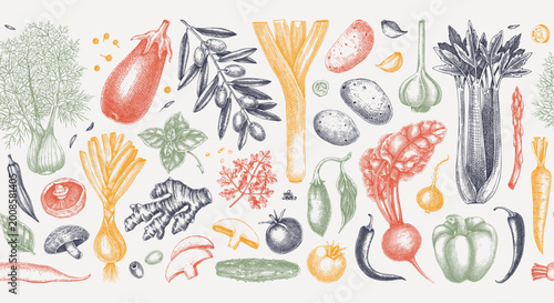 Sketched style vegetables seamless border design. Culinary ingredients and farm food hand drawn vector illustration. Herbs and spices background in color. NOT AI generated