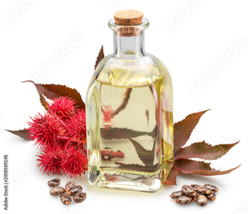 Bottle of castor oil and red spiny seed pods of Castor Bean on white background. File contains clipping paths.