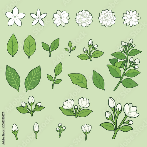 jasmine floral element set in flat design for Mother's Day and traditional Thai decor and greeting cards.