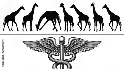 Photography Giraffe Silhouettes and Vintage Caduceus Engraving Set with Medical Symbol and A