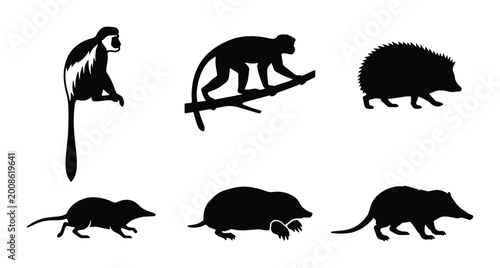 Bild auf Leinwand silhouette set of various animals including primate and hedgehog on white backgr
