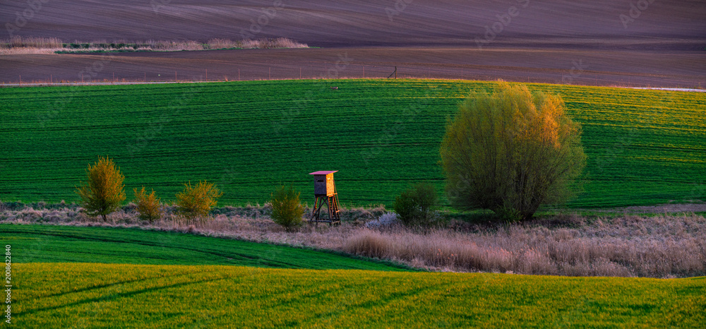 Fototapeta premium A hunting tower in the spring fields, crisscrossed by ecological field margins and clumps of trees