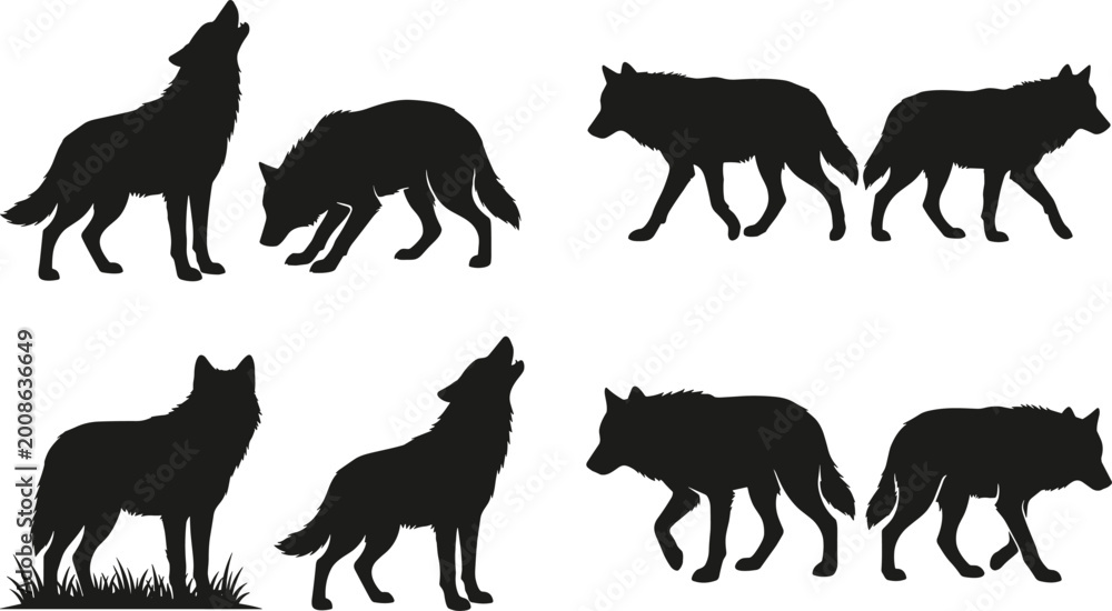 Fototapeta premium Wolf Silhouette Vector Set Featuring Howling, Walking, and Standing Wild Canine Poses with Grass Elements for Wildlife Design, Nature Illustration, and Animal Graphics