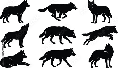 Photos Wolf Silhouette Vector Collection with Running, Walking, Sitting, and Howling Wi