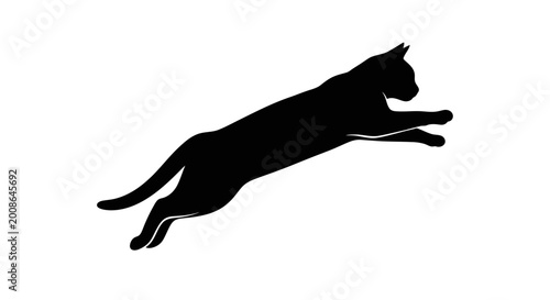 Fotografie Black cat silhouette leaping mid-air against a white background
