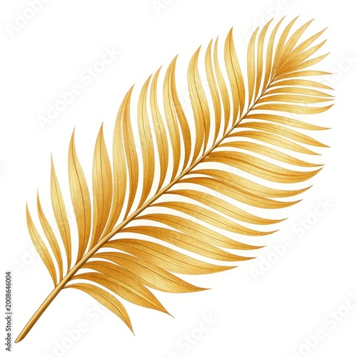 golden feather isolated on white background