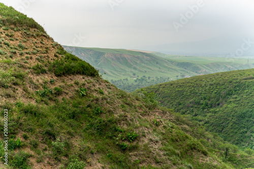 фотографія A wide view of grassy hillsides and natural ravines during the spring or summer season