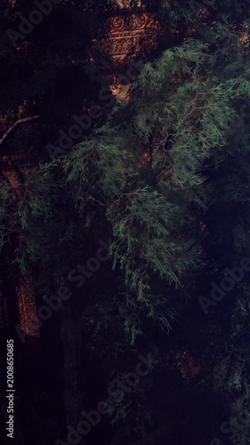 Lush green leaves cascade over an ancient, rustic structure as dusk casts a warm glow, creating a serene and enchanting scene in the forest. Nature thrives in perfect harmony.