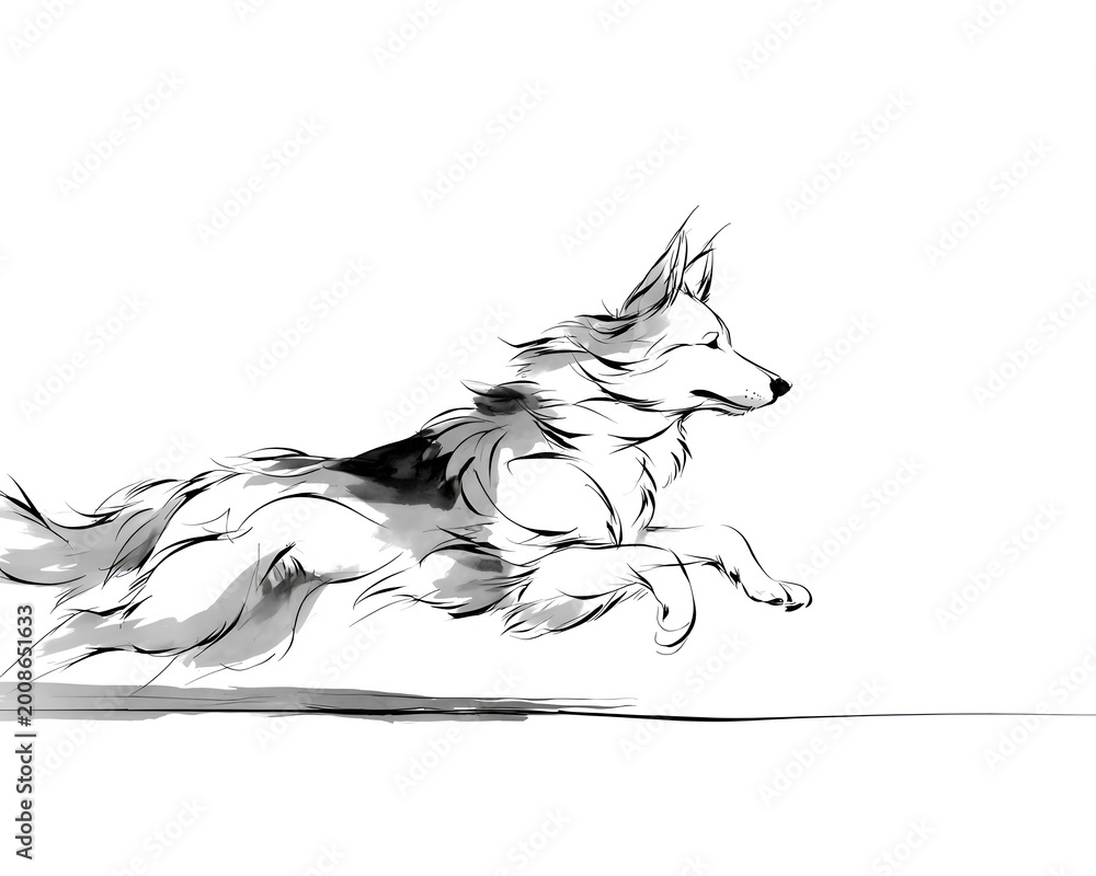 Obraz premium Energetic small dog runs with great speed, depicted in a black and white illustration showcasing expressive movement and flowing lines artfully.