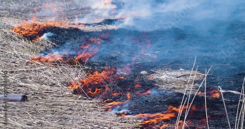 Experience the intensity of a wildfire in this gripping video as dry grass ignites and burns rapidly. The vibrant flames highlight the power of nature, reminding us of its unpredictable force.
