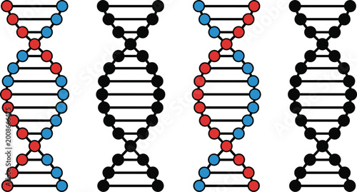 Photography DNA Double Helix Set with Colored and Black Nucleotide Pairs Representing Genetics, Molecular Biology, and Science Concepts in Clean Vector Illustrations for Educational and Research Designs